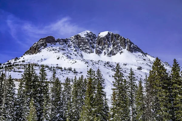 Sneeuw Bedekt Bergtop Omgeven Door Pijnbomen Alpine Bos Zonnige Winterochtend — Stockfoto