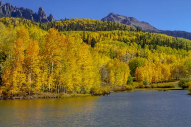 San Juan ve Colorado Rocky Dağları Sonbahar Rengi