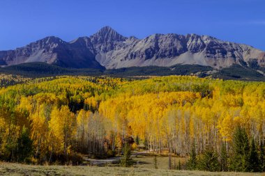San Juan ve Colorado Rocky Dağları Sonbahar Rengi