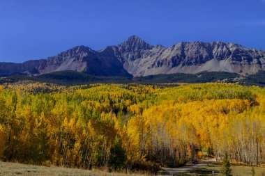 San Juan ve Colorado Rocky Dağları Sonbahar Rengi