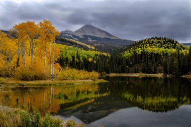 San Juan ve Colorado Rocky Dağları Sonbahar Rengi