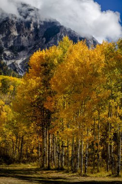 San Juan ve Colorado Rocky Dağları Sonbahar Rengi