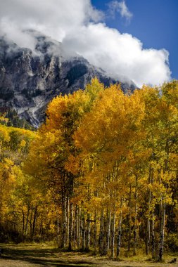 San Juan ve Colorado Rocky Dağları Sonbahar Rengi