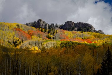 San Juan ve Colorado Rocky Dağları Sonbahar Rengi