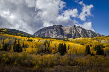 San Juan ve Colorado Rocky Dağları Sonbahar Rengi