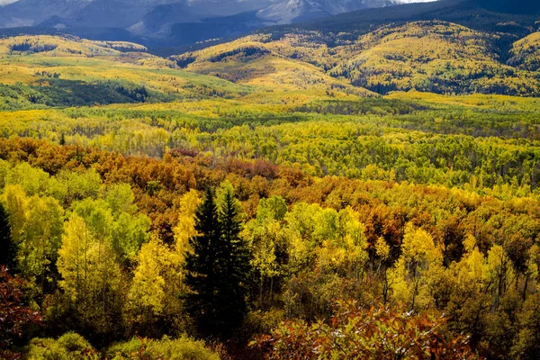 Cor de outono em San Juan e Montanhas Rochosas do Colorado — Fotografia de Stock