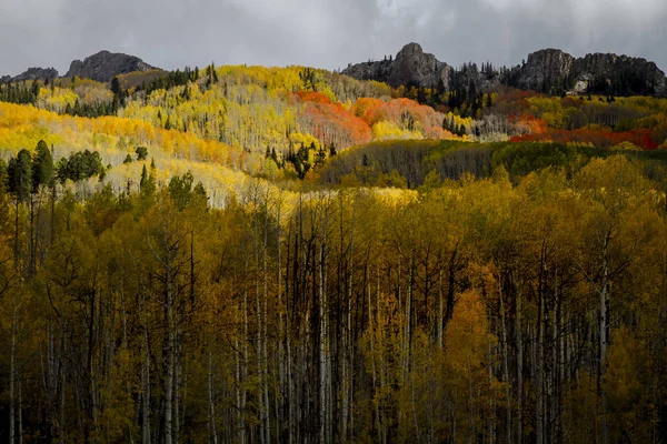 Color Otoño en San Juan y Montañas Rocosas de Colorado — Foto de Stock