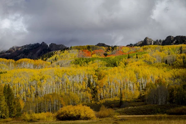 Herbstfarbe in san juan und felsige berge von colorado — Stockfoto