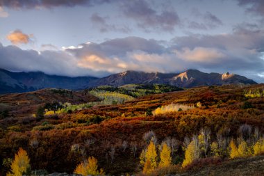 Autumn Color in San Juan  of Colorado near Ridgway and Telluride clipart
