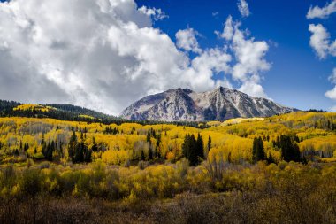 San Juan ve Colorado Rocky Dağları Sonbahar Rengi