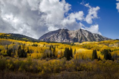 San Juan ve Colorado Rocky Dağları Sonbahar Rengi