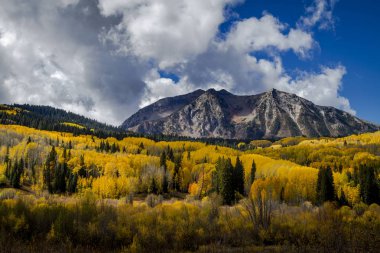 San Juan ve Colorado Rocky Dağları Sonbahar Rengi