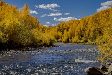 San Juan ve Colorado Rocky Dağları Sonbahar Rengi