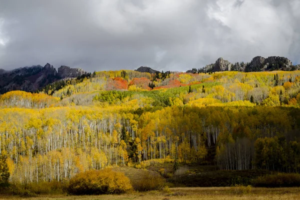 Color Otoño en San Juan y Montañas Rocosas de Colorado — Foto de Stock