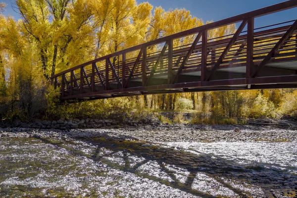 Colore autunno a San Juan e Montagne Rocciose del Colorado — Foto Stock