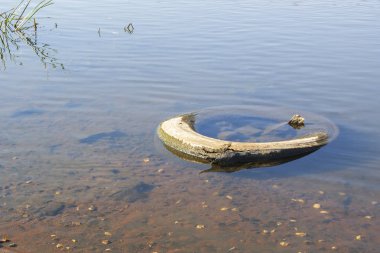 Nehirdeki çöpler. Çevre sorunu