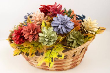 konilerden el sanatları. Sonbahar renkleri. Boyalı koniler