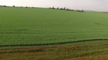 Uçuş yeşil alanın üzerinde. kuş görünümü göz.