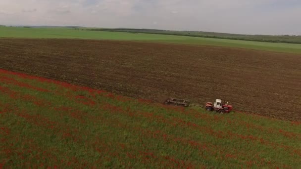 Tractor with a plow plow a field with red poppies. birds eye view. — Stock Video