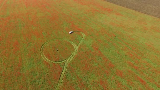 Mașina se deplasează în jurul câmpului, lăsând cercurile în urmă. vedere la ochi păsări . — Videoclip de stoc