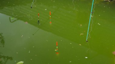 Üç sonraki çubuklar için float