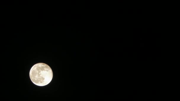 Una grande luna bianca in un cielo nero . — Video Stock