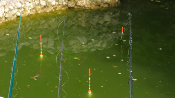 Tres flotadores en agua fangosa cerca de una pared de piedra — Vídeos de Stock