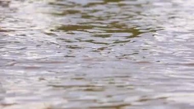 Yağmur suyu yolda. Ağır çekim.