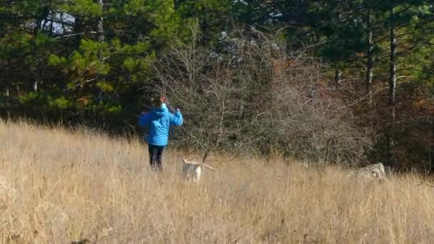 Flickan går längs gräset med hunden. — Stockvideo