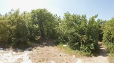 Ormanın içinden gitmek ve insanlar dışarı çıkmak