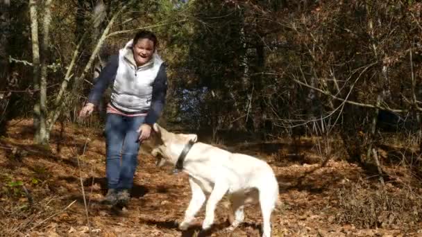 Μια γυναίκα και ένα παιδί να παίξει με ένα σκυλί στα πεσμένα φύλλα. — Αρχείο Βίντεο