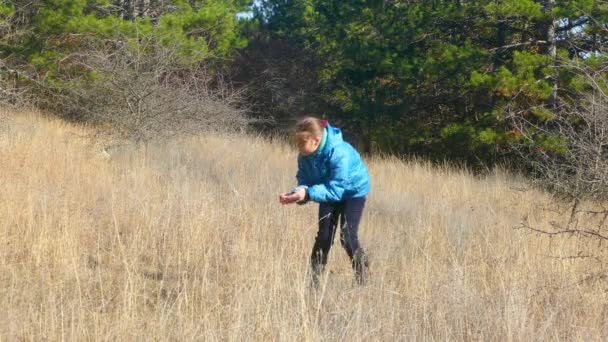 Une fille joue avec un chien dans la forêt . — Video