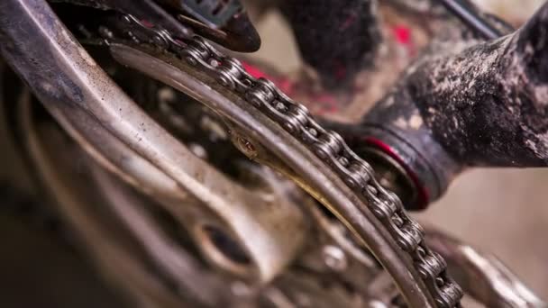 Brush to clean the bicycle sprocket — Stock Video