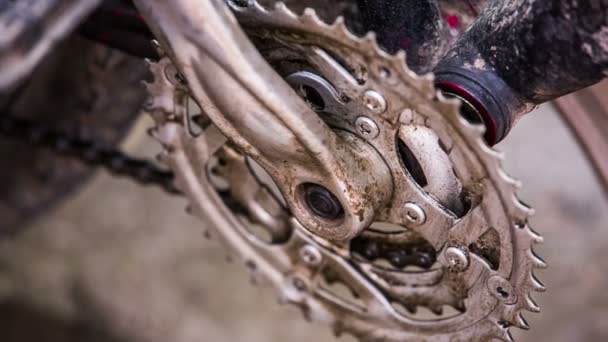 Cepillo elimina la suciedad con una rueda dentada de bicicleta y cadena — Vídeo de stock