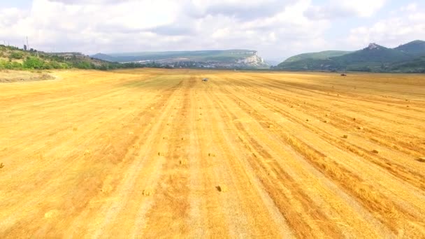 Campo colhido com fardos de feno dourado — Vídeo de Stock