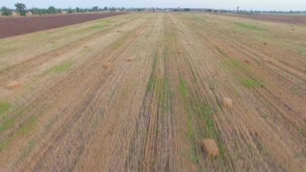 Luchtfoto. Strobalen liggen op geoogste veld — Stockvideo