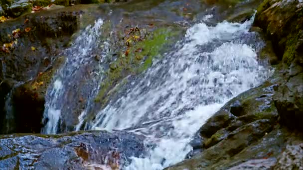 L'écoulement de l'eau coule à travers des roches moussues — Video