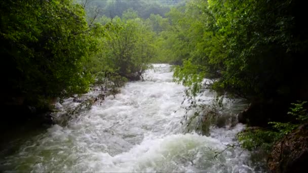 Plnohodnotná horská řeka — Stock video