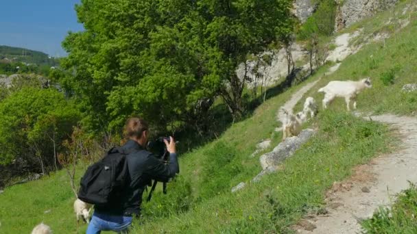 Fare immagine turistica di capre selvatiche — Video Stock