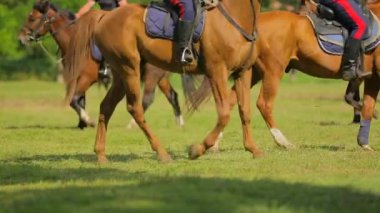 Atlar daire çiziyor.