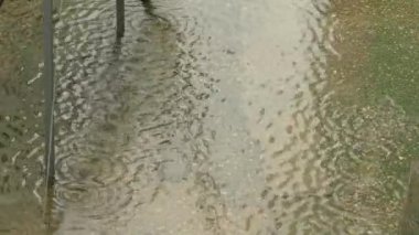 Şiddetli Yağmur Damlaları Düşen Againt Asfalt Yüzeyi