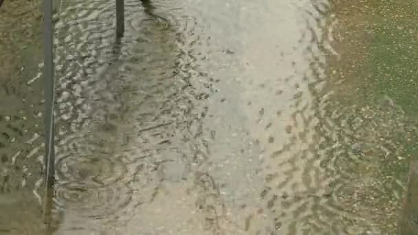 Krople ulewnego deszczu spadające na powierzchnię asfaltu — Wideo stockowe
