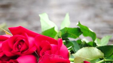 HD 1080p süper yavaş gül suyu arka plan.