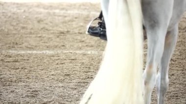 HD 1080 p süper yavaş yarışan atlar spor kum sahası süvarisi yargıç seyirci geleneği uluslararası süvari atı süvari atına binme imparatorluğu