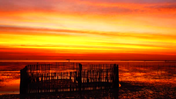 美しい日没日差し空夕暮れビーチの背景 — ストック動画