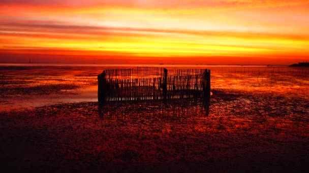 Schönen Sonnenuntergang Sonnenlicht Himmel Dämmerung Strand Hintergrund — Stockvideo