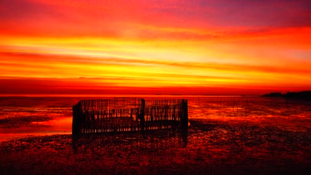 Mooie Zonsondergang Zonlicht Hemelachtergrond Twilight Strand — Stockvideo