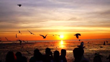 HD 1080p süper yavaş martılar güzel gün batımı gökyüzü plajı turistleri.