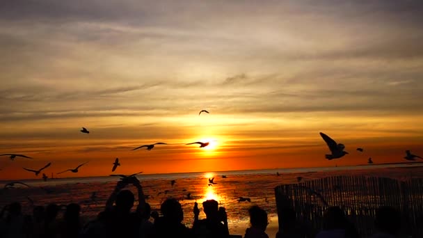 Hd1080P超慢速海鸥飞翔美丽的落日全天候阳光下的天空海滩背景游客 — 图库视频影像