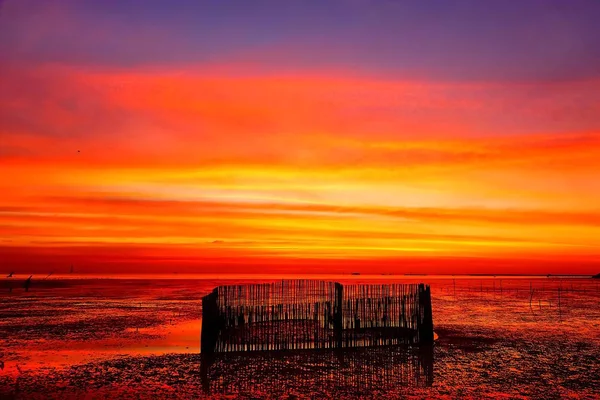 Corazón Bambú Ocaso Crepúsculo Mar Naturaleza Backgound — Foto de Stock